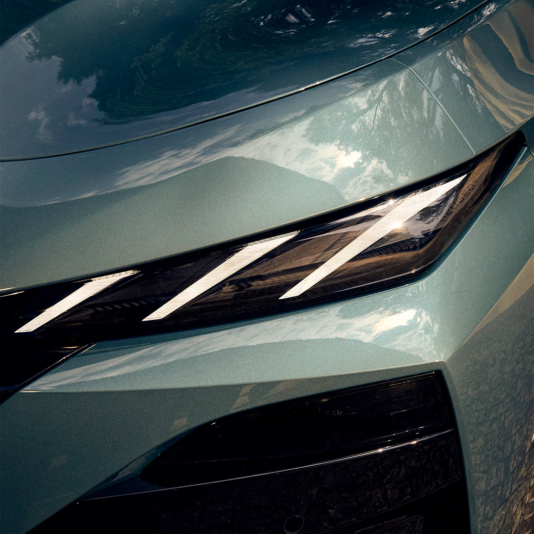 Смел, остар преден дел 