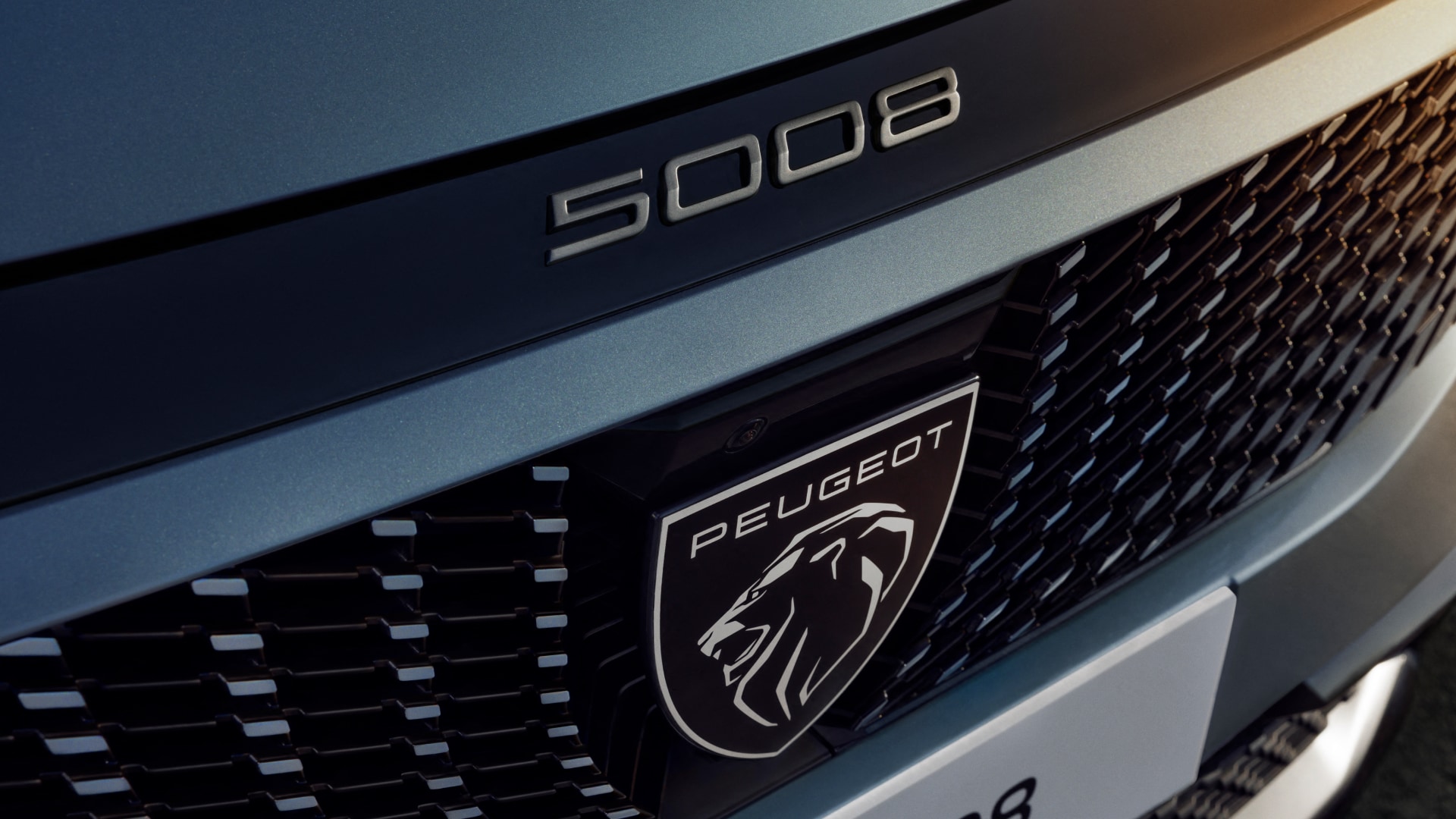 Griglia anteriore di PEUGEOT E-5008